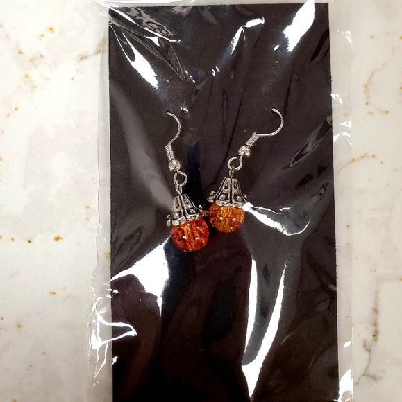 Jewelry - 👀50% OFF‼️NWT 💕Beautiful 💕 Simple dangle earrings
